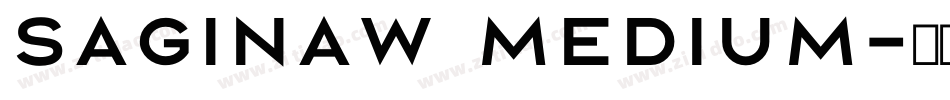 Saginaw Medium字体转换